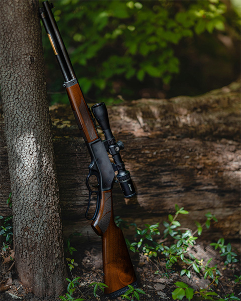 rifle stood up next to a tree
